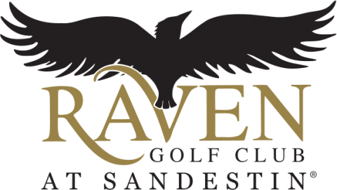 Raven Logo
