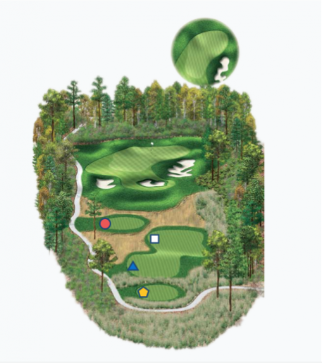 Illustration of Raven's 8th hole. Par 3.