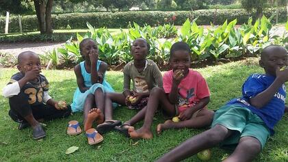 Children Reading on the Grass