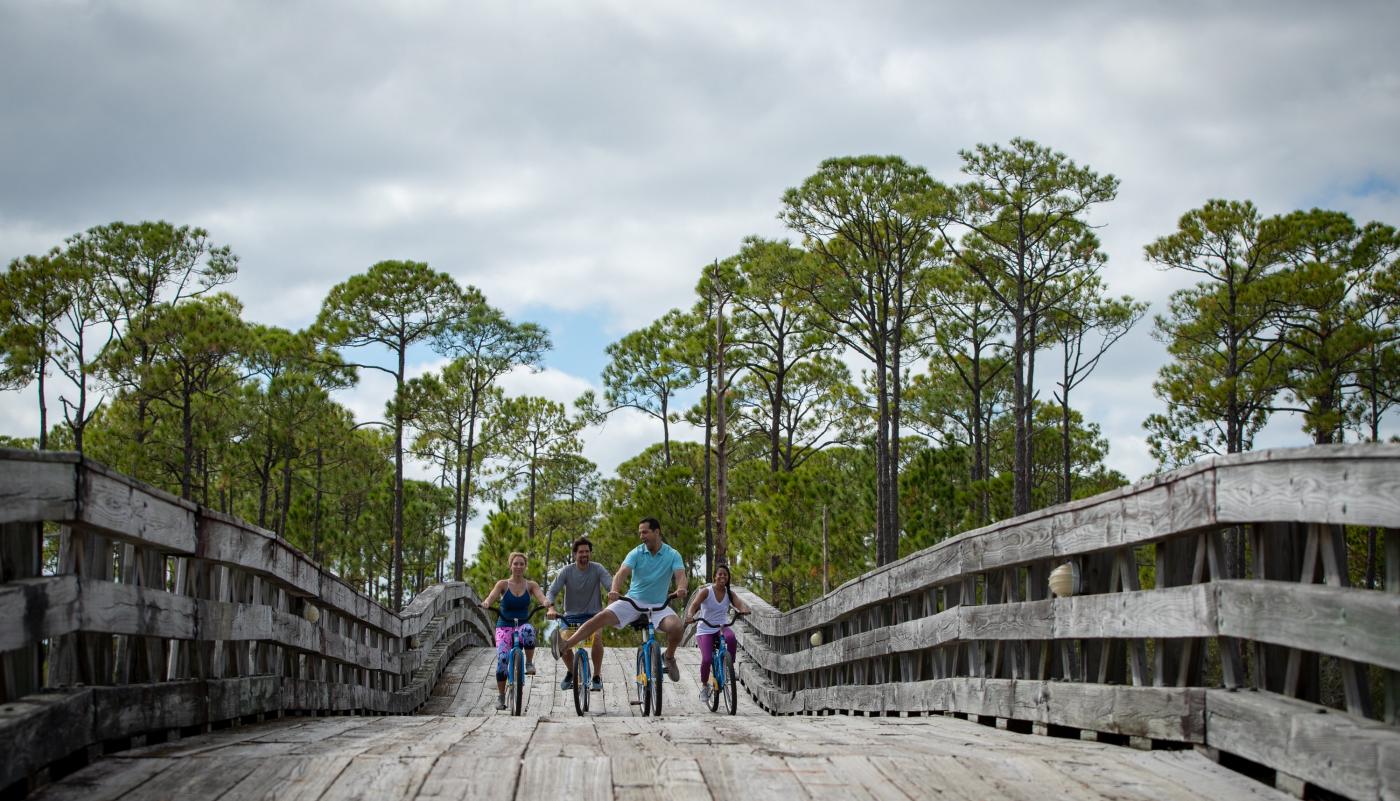 Group of people biking