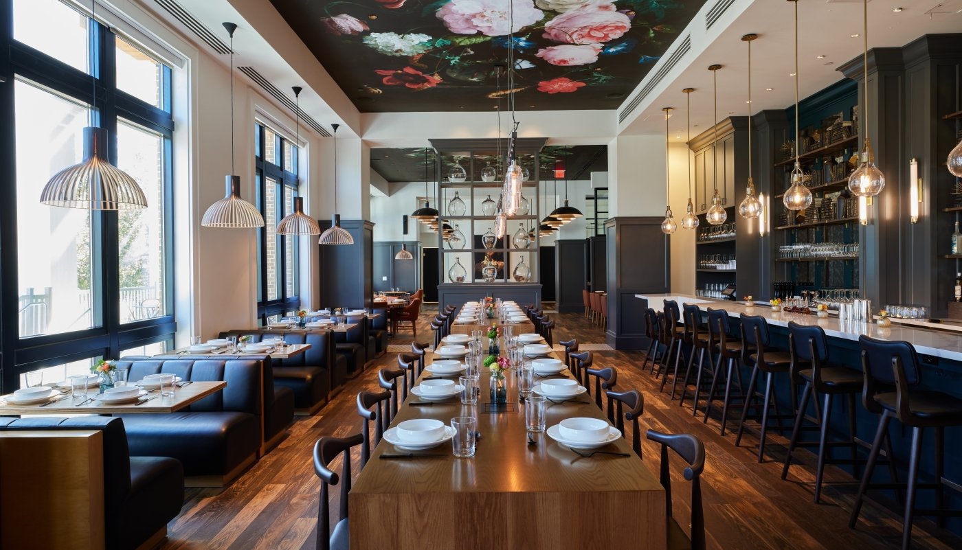 Ovide in the Daytime