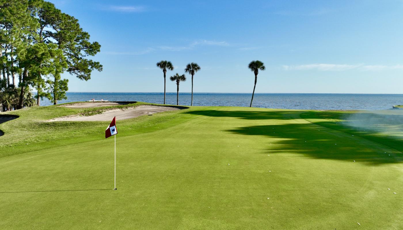 A golf fairway with palm trees.