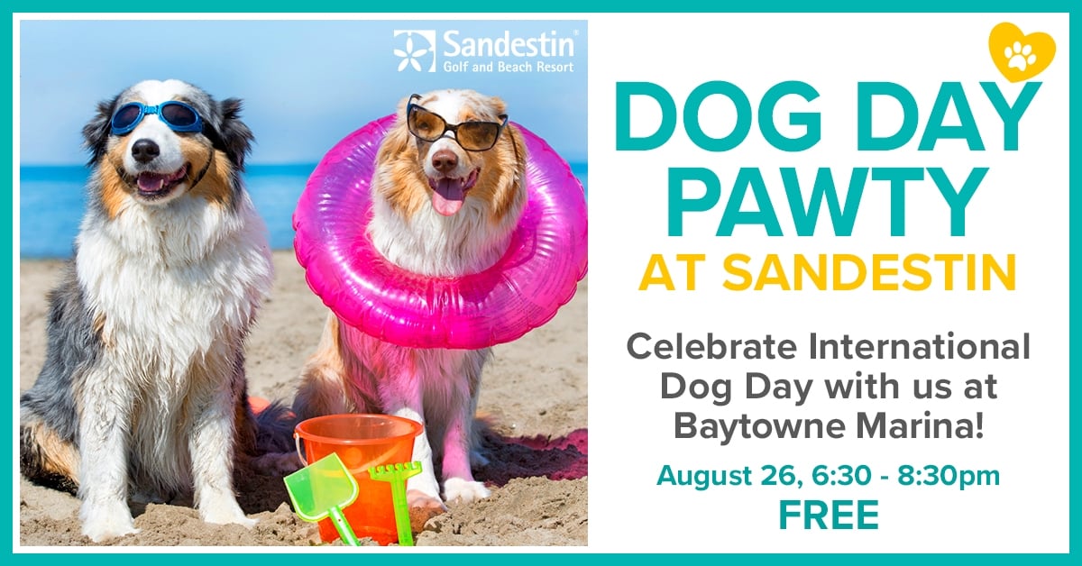 Dog Day Pawty Invite