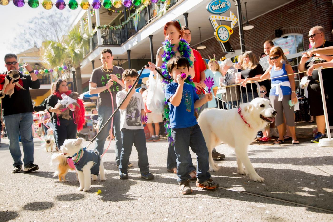 Mardi Gras Parade