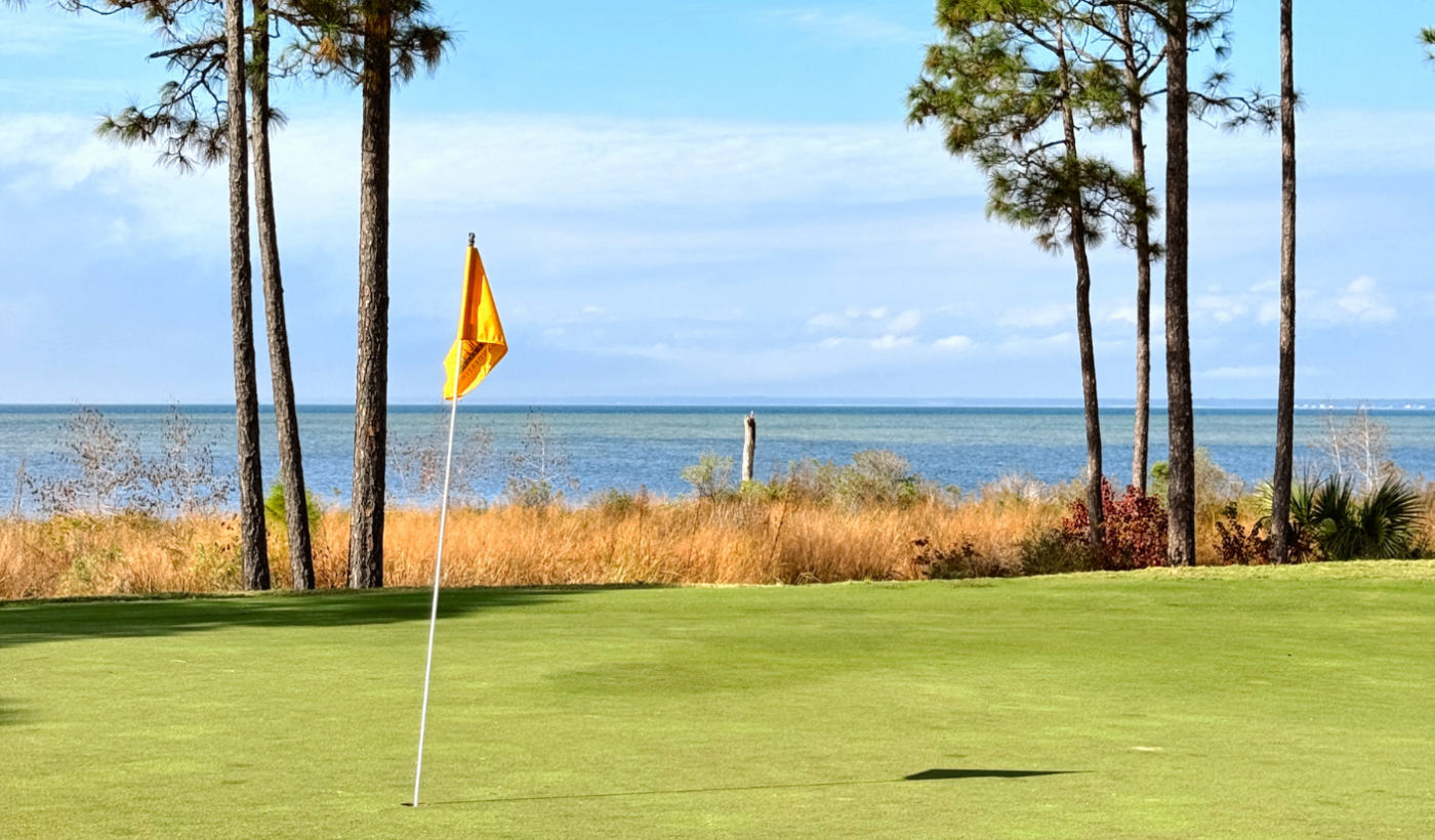 SDFK Swing with Heart