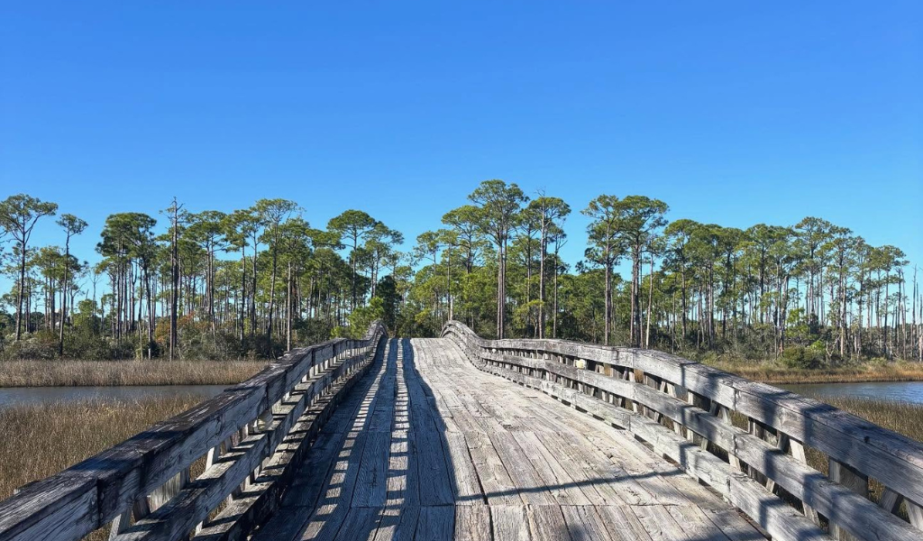 Top 7 Things to Do in Sandestin for Spring Break 