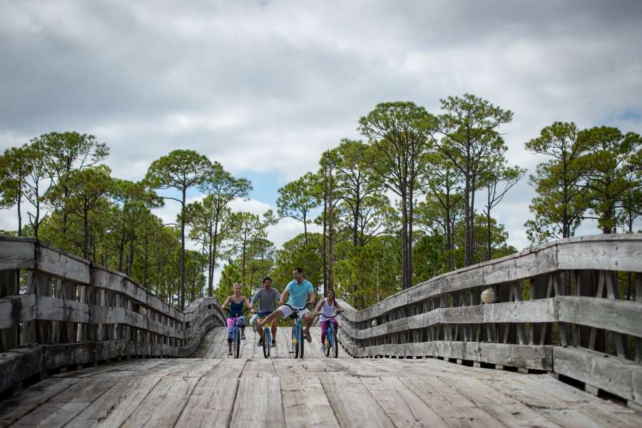 Group of people biking