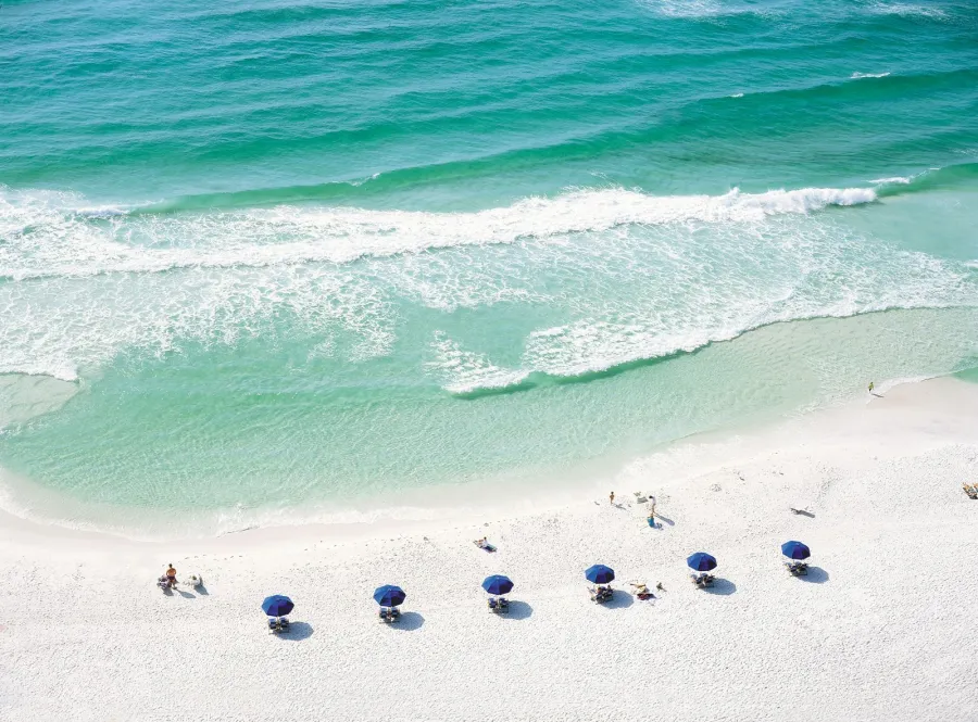 Beach chair umbrellas lined up in a row on the beach