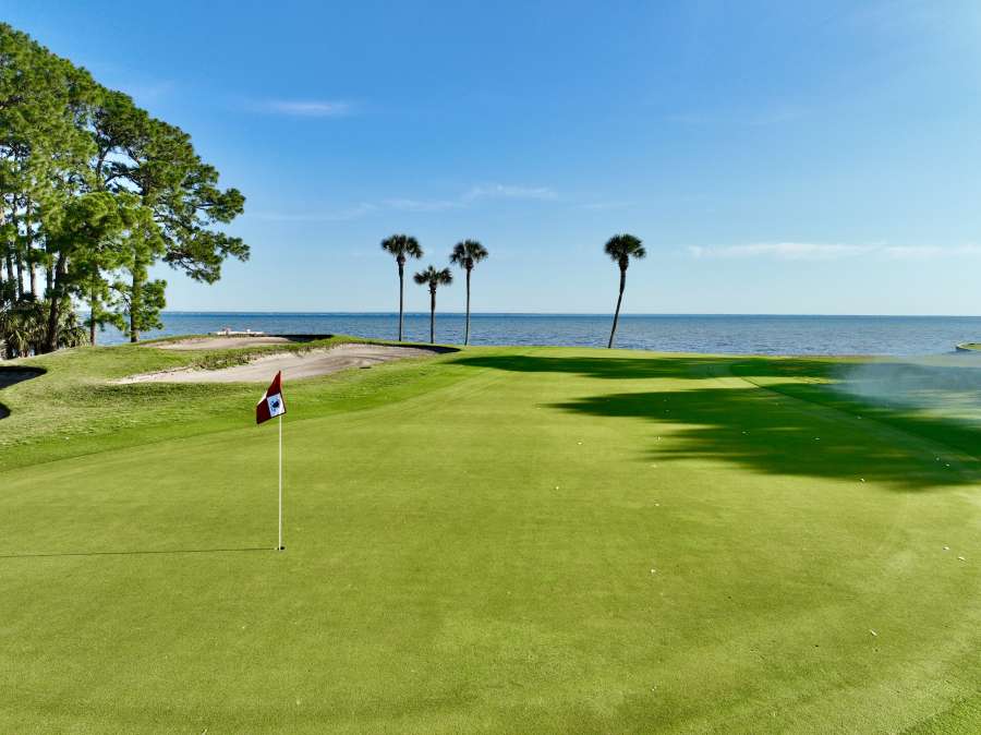 A golf fairway with palm trees. 
