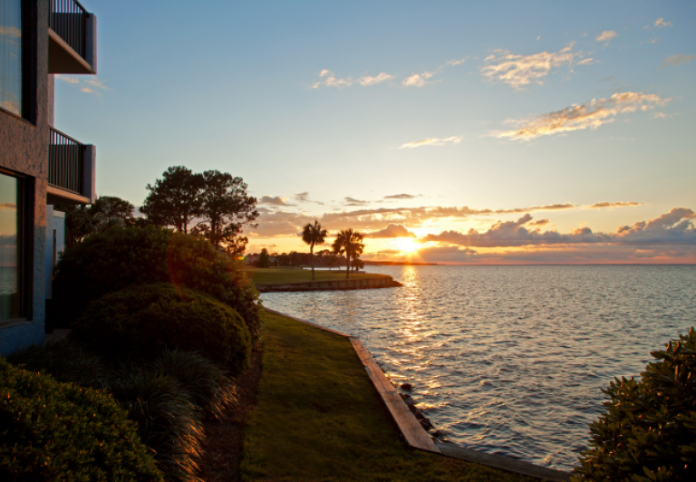 Atrium view from the patio