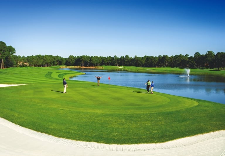 group of individuals playing golf