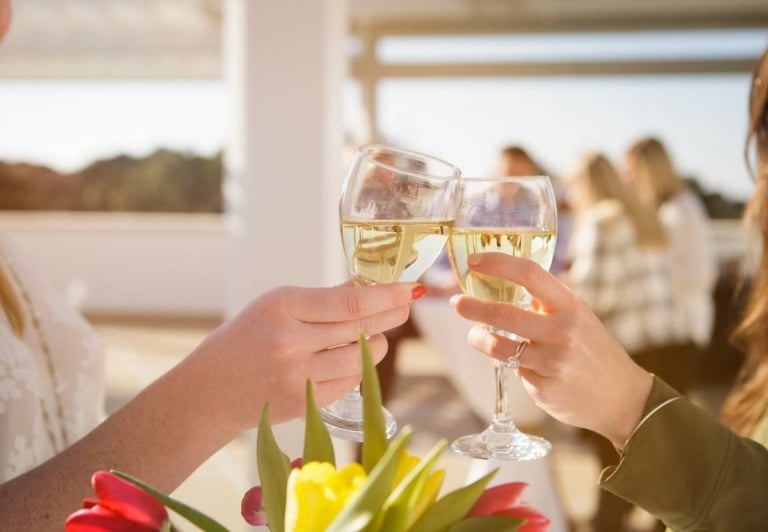 people cheersing wine glasses at an outdoor venue