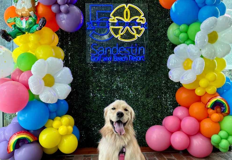 Pearl the Golden Girl