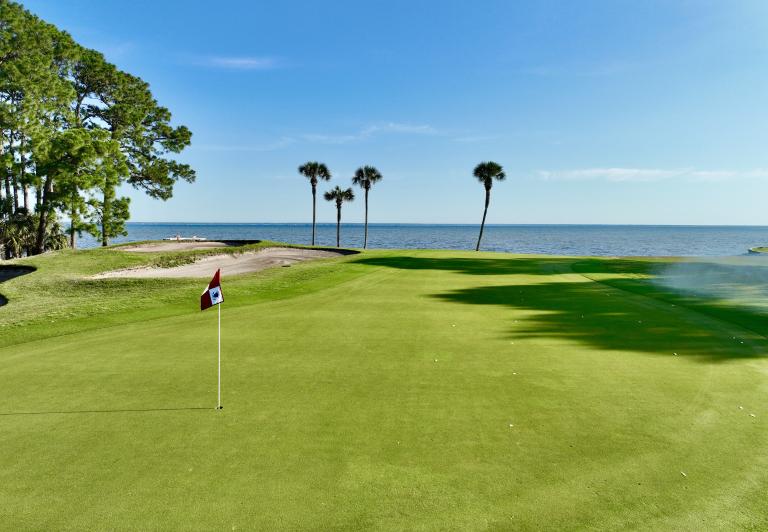 A golf fairway with palm trees.
