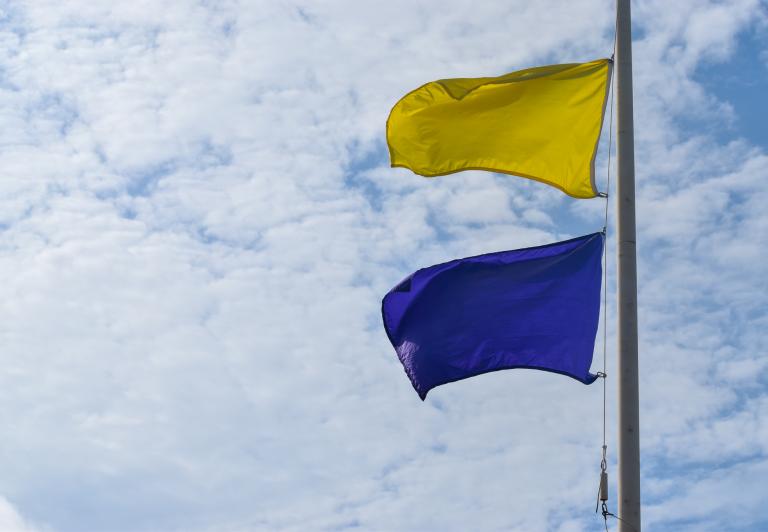 Beach Flags