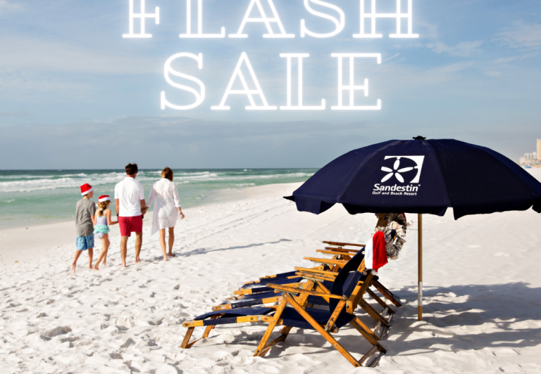 Flash Sale Graphic