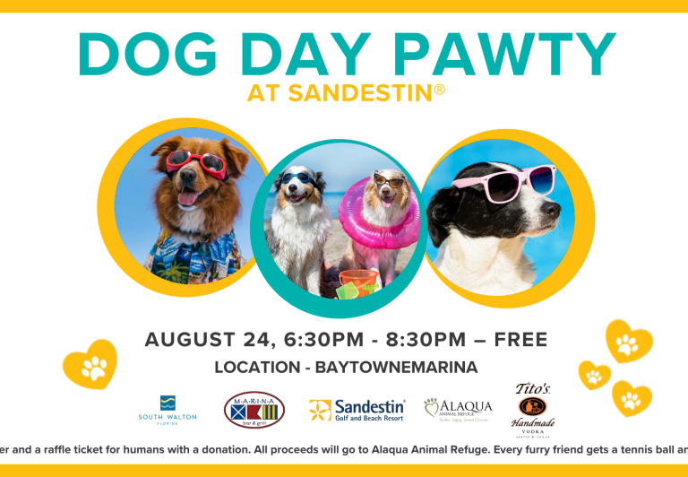 Dog Day Pawty