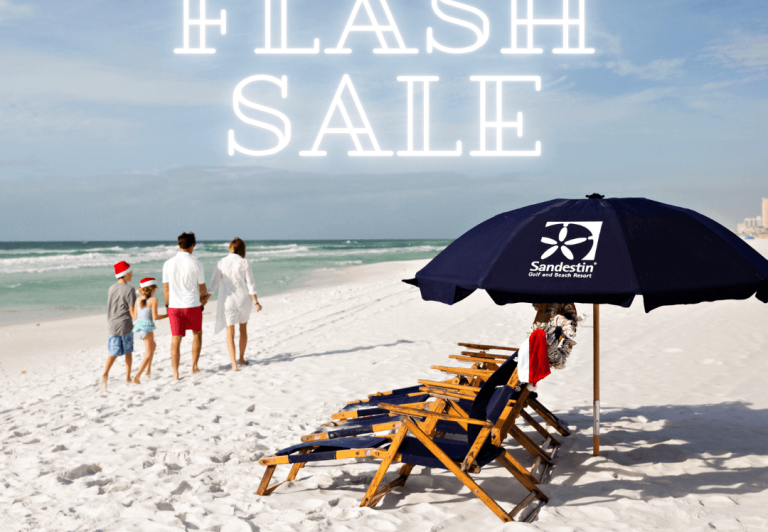 Flash Sale Graphic