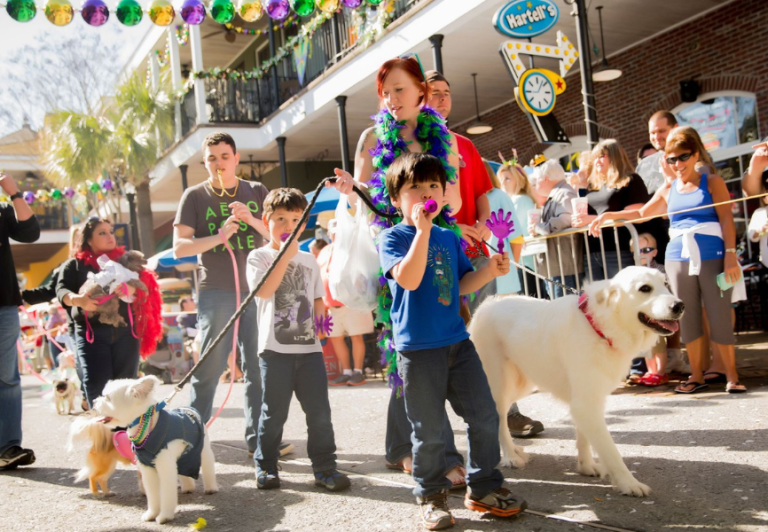 Baytowne Mardi Gras Pardi