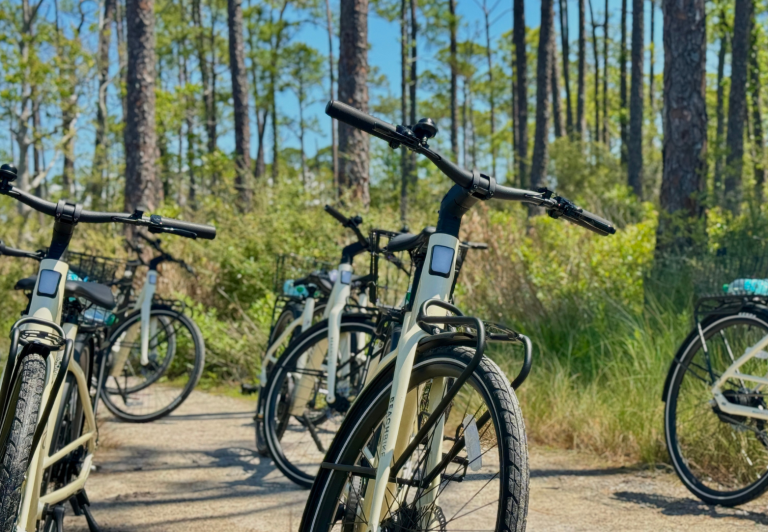 E-Bike Rentals.
