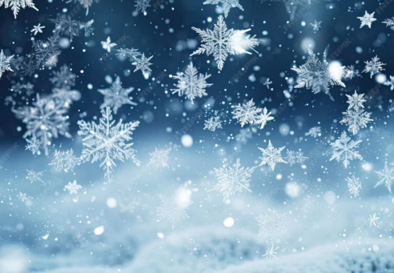 Marina Bar & Grill Winter Menu