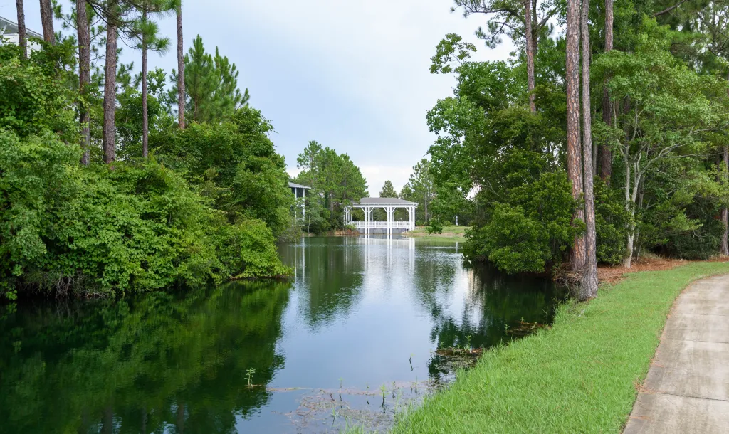 the lush green trees at the Sandestin Golf and Beach Resort golf club, Burnt Pine