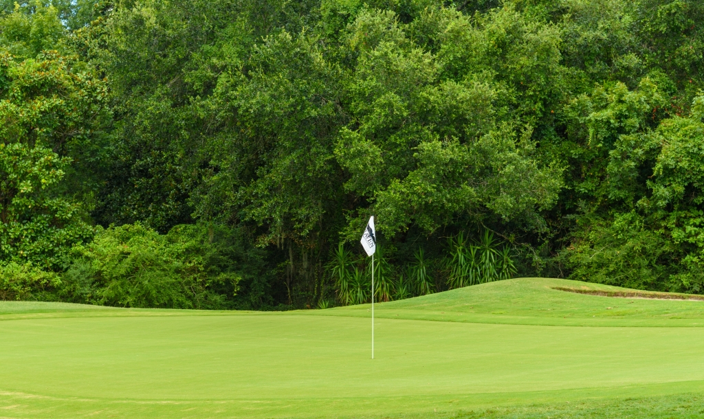 golf pin flag on a golf hole