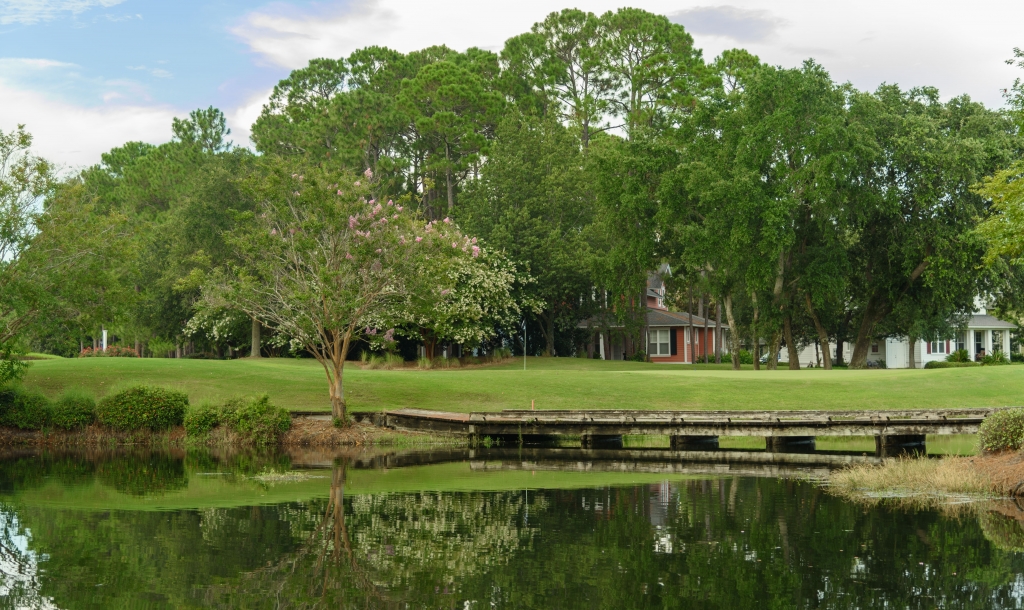 the beautiful green grounds at Raven golf course