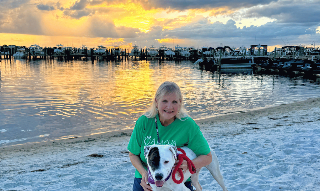 Sandestin