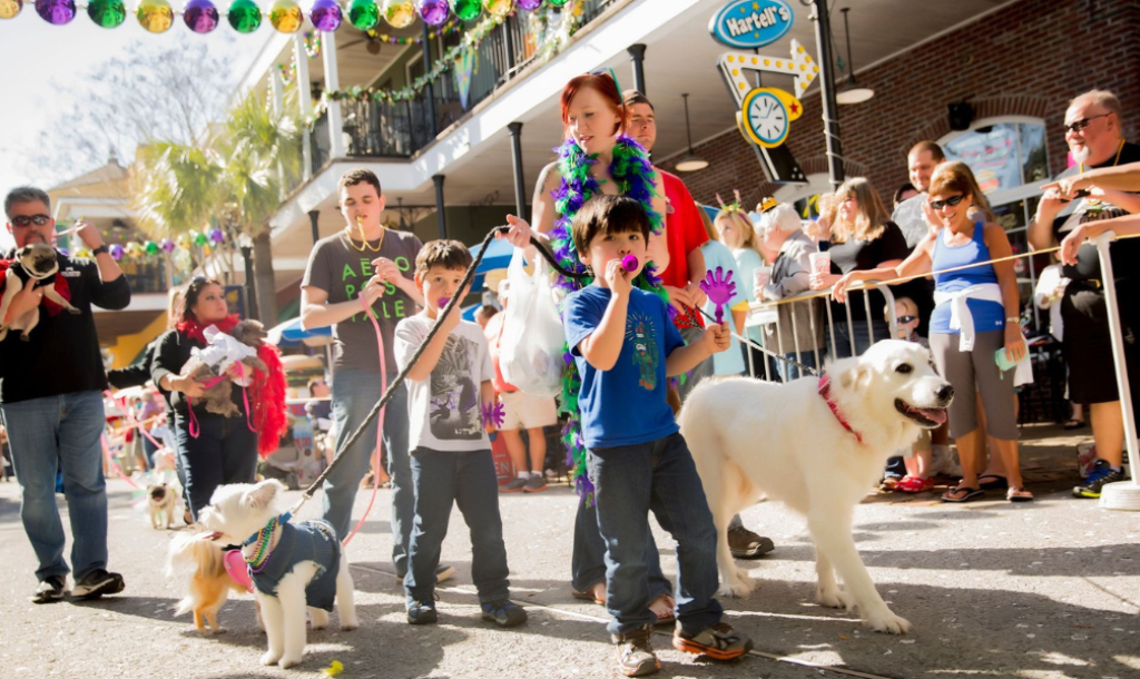 Baytowne Mardi Gras Pardi