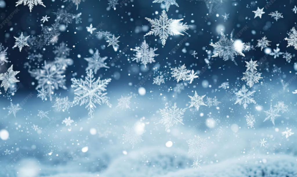 Marina Bar & Grill Winter Menu