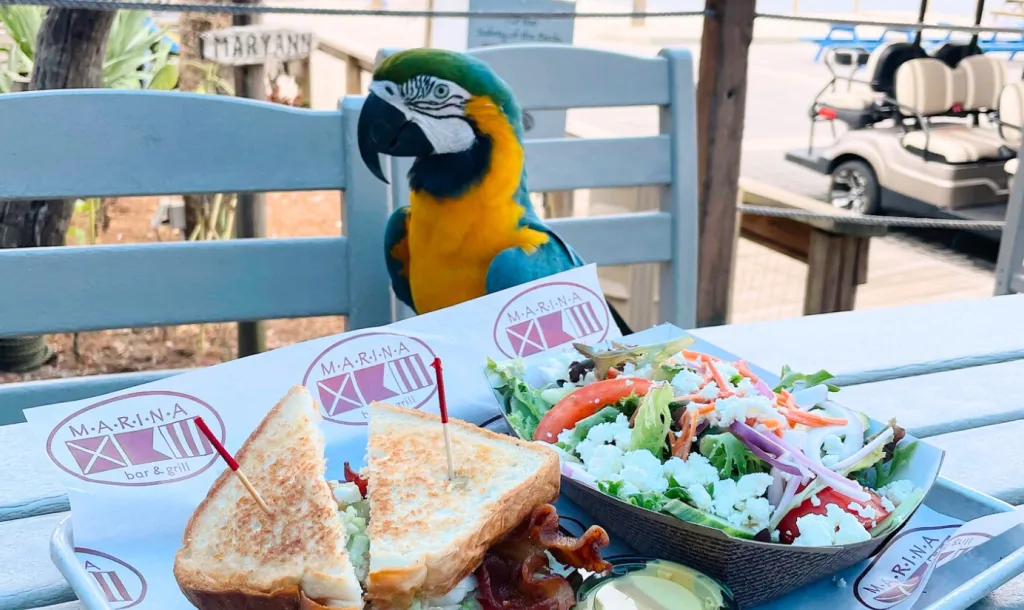 Marina Bar & Grill 