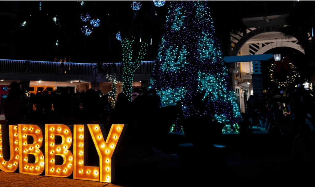 Get bubbly at the 14th Annual Sparkling Wine & Holiday Lights Festival!