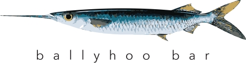 Ballyhoo Logo