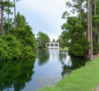 the lush green trees at the Sandestin Golf and Beach Resort golf club, Burnt Pine