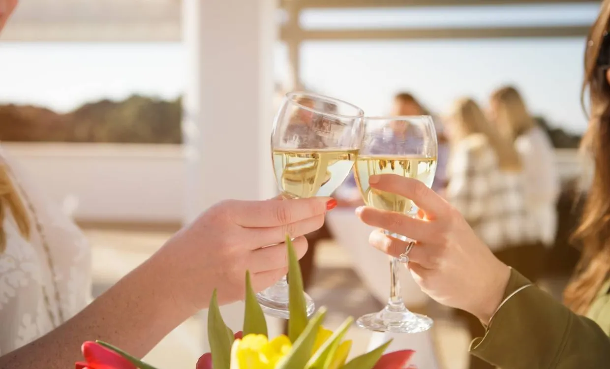 people cheersing wine glasses at an outdoor venue
